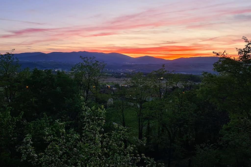 Gite De 70M² Avec Vue Sur Le Massif Du Pilat Clonas-sur-Vareze Экстерьер фото