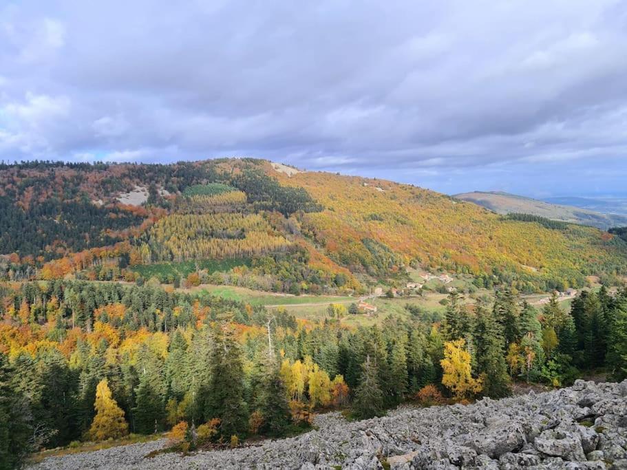 Gite De 70M² Avec Vue Sur Le Massif Du Pilat Clonas-sur-Vareze Экстерьер фото