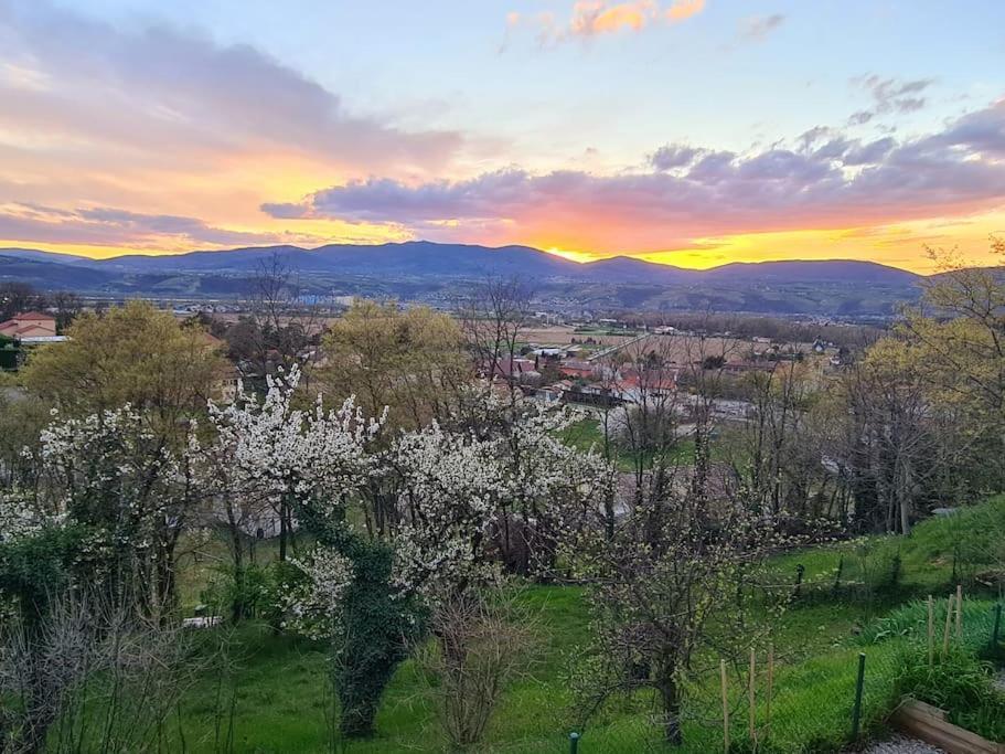 Gite De 70M² Avec Vue Sur Le Massif Du Pilat Clonas-sur-Vareze Экстерьер фото
